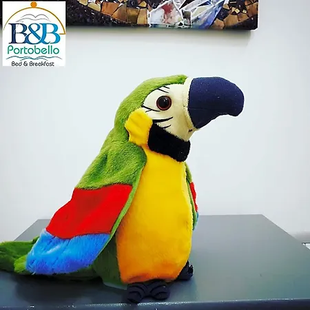B&B Portobello-2